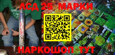 индика Пенза