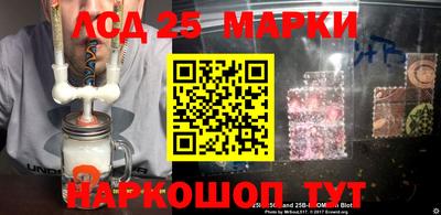 индика Пенза