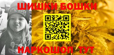индика Пенза