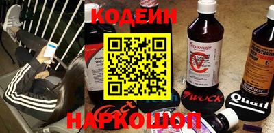 индика Пенза