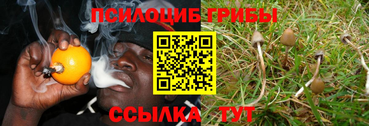 Галлюциногенные грибы прущие грибы  где купить наркоту  Полысаево  Вход с VPN 