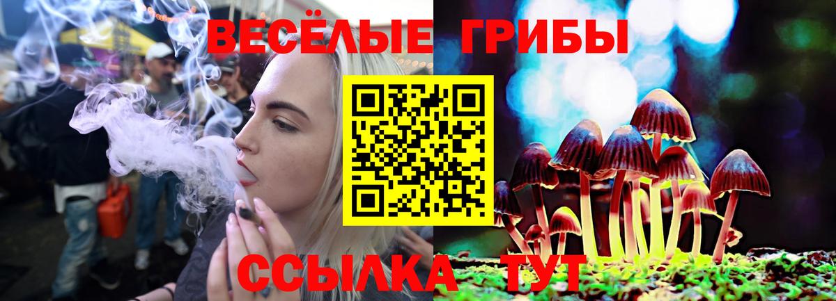 Галлюциногенные грибы Cubensis Полысаево
